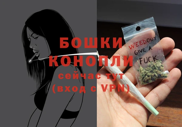 молекула духа Волосово