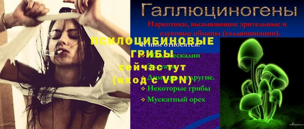 прущие крисы Горняк