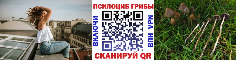 хочу   omg ССЫЛКА  Галлюциногенные грибы мухоморы  Дмитриев 