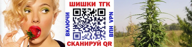 Каннабис планчик Дмитриев